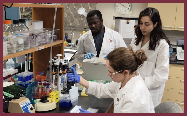 Highlightings the collaborative team environment and the technical hands-on work performed in the Parvatiyar laboratory.