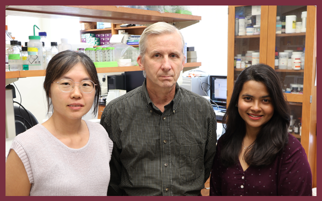 Three researchers—two women and one man—pose together in a lab filled with glass jars, scientific equipment, and storage cabinets.