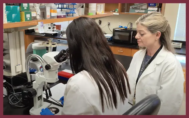 A researcher in a white lab coat and blue gloves looking through a binocular microscope while a colleague in a white lab coat observes.