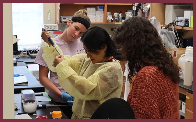 Three researchers in a laboratory, including one in a yellow isolation gown using a pipette to transfer liquid into a small tube while two colleagues observe closely.