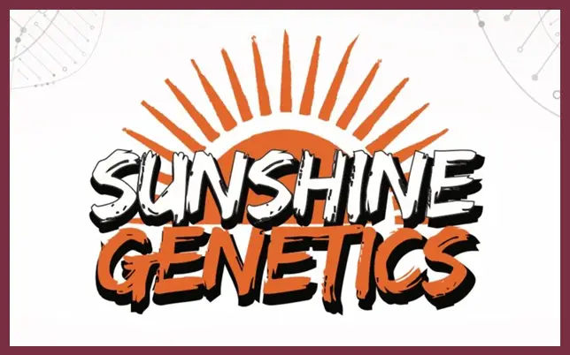 A logo for 