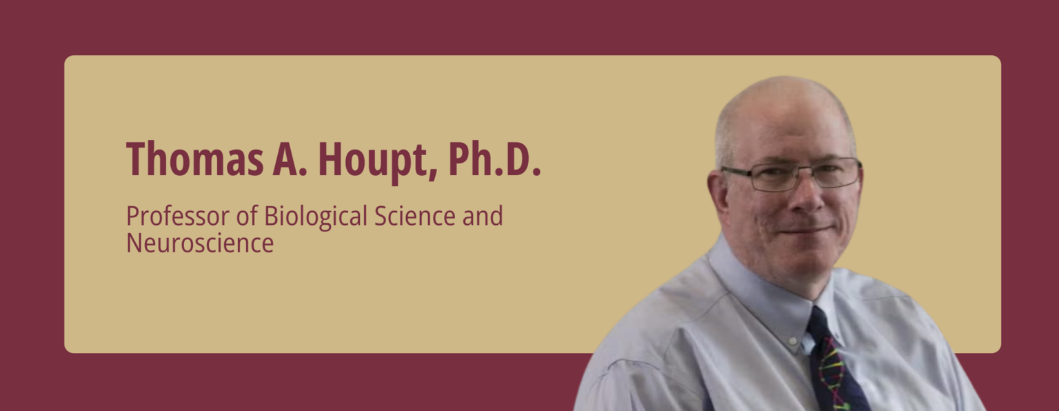 Portrait of Thomas A. Houpt, Professor of Biological Science and Neuroscience.